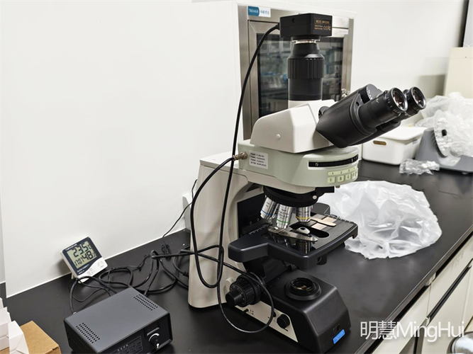 mhf200正置荧光显微镜 助力广州某生物公司医学研究取得新突破